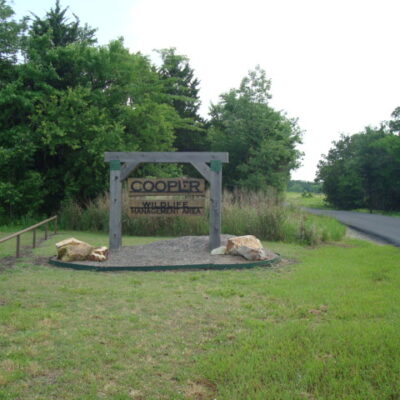 Cooper Lake State Parks On Jim Chapman Lake Onyx